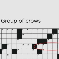 Eat no food crossword clue