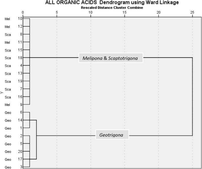 A tale of two gases answer key