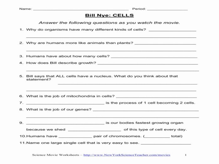 Bill nye magnetism worksheet answers