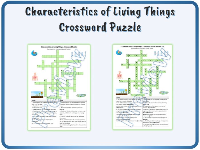 Characteristics of living things crossword puzzle answers