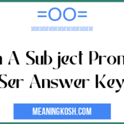 Gramática c subject pronouns and ser answer key